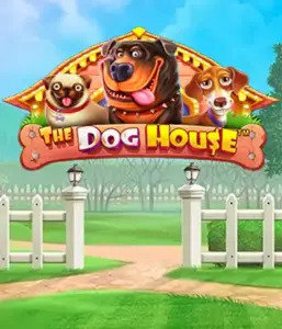 Experience Pragmatic Play's The Dog House adventure, offering a delightful adventure among charming canines. Engage in features such as free spins, aimed at delivering entertaining gameplay. Perfect for those who enjoy a cheerful setting with a chance for big wins.